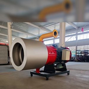 Coal And Gas Dual-use Burner